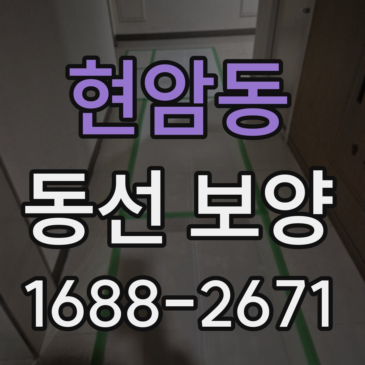 현암동 동선 보양