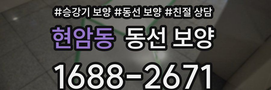 현암동 동선 보양