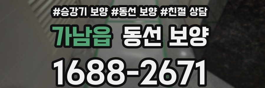 가남읍 동선 보양