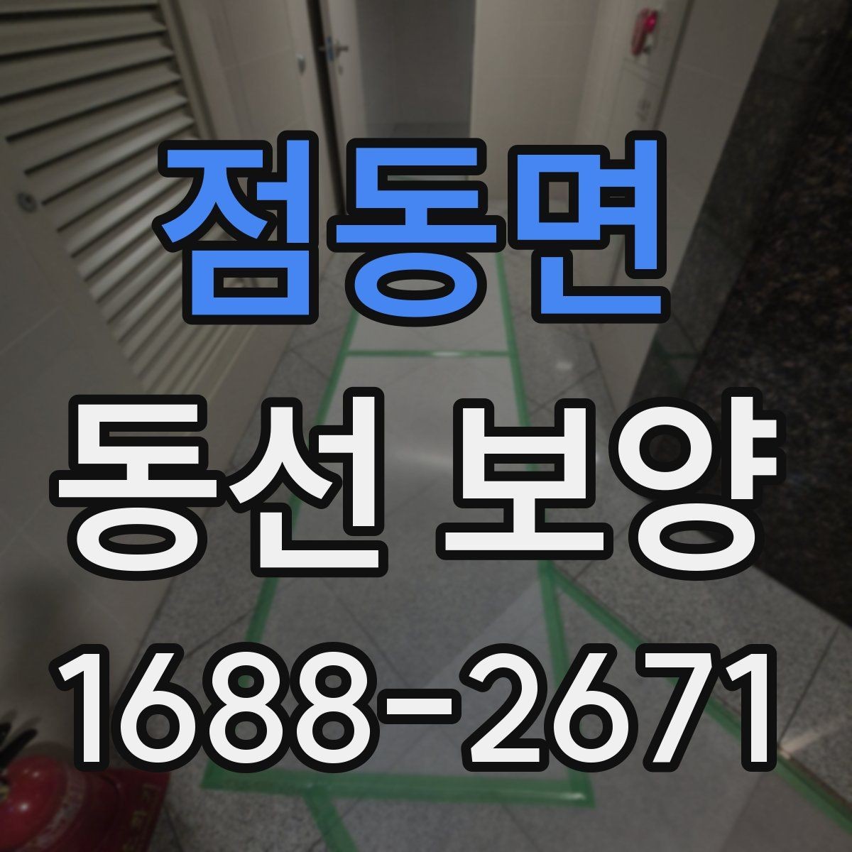점동면 동선 보양 작업을 안전하게 진행하는 방법