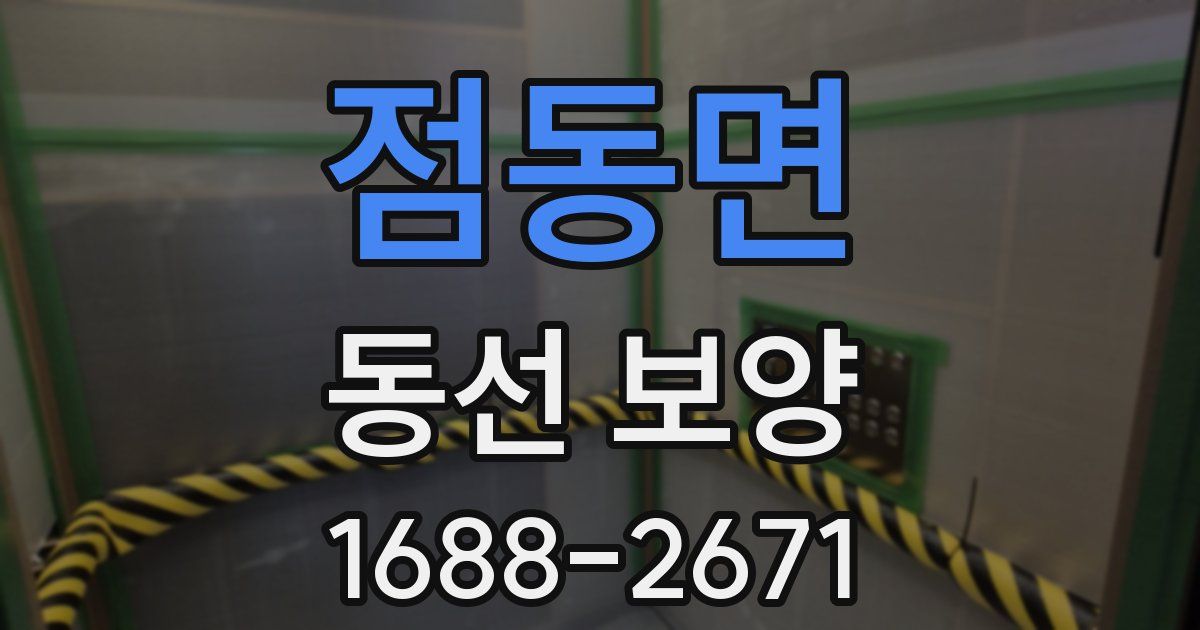 점동면 동선 보양