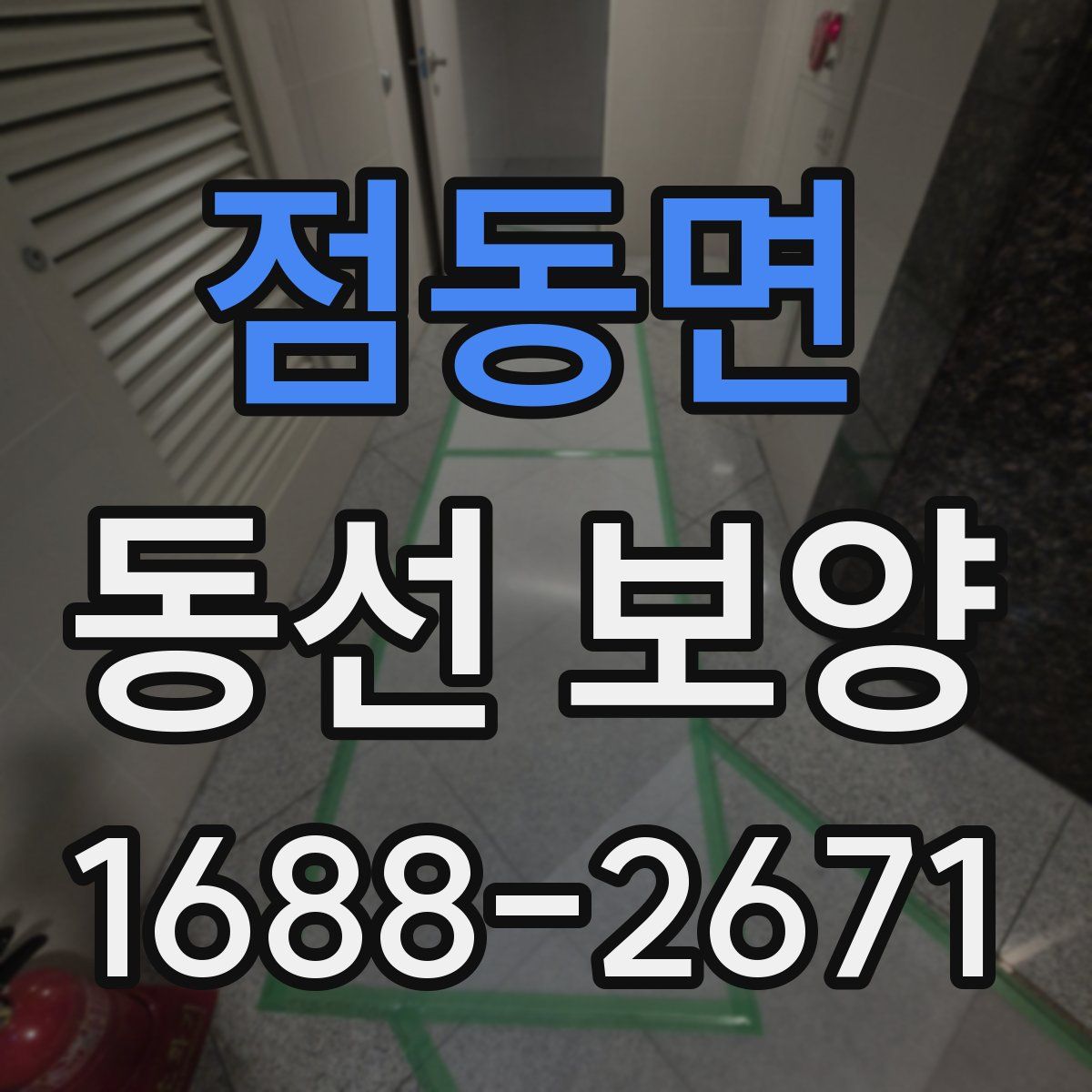 점동면 동선 보양