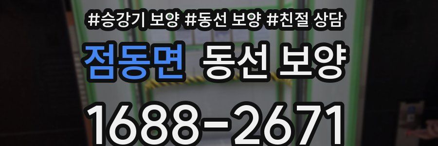 점동면 동선 보양