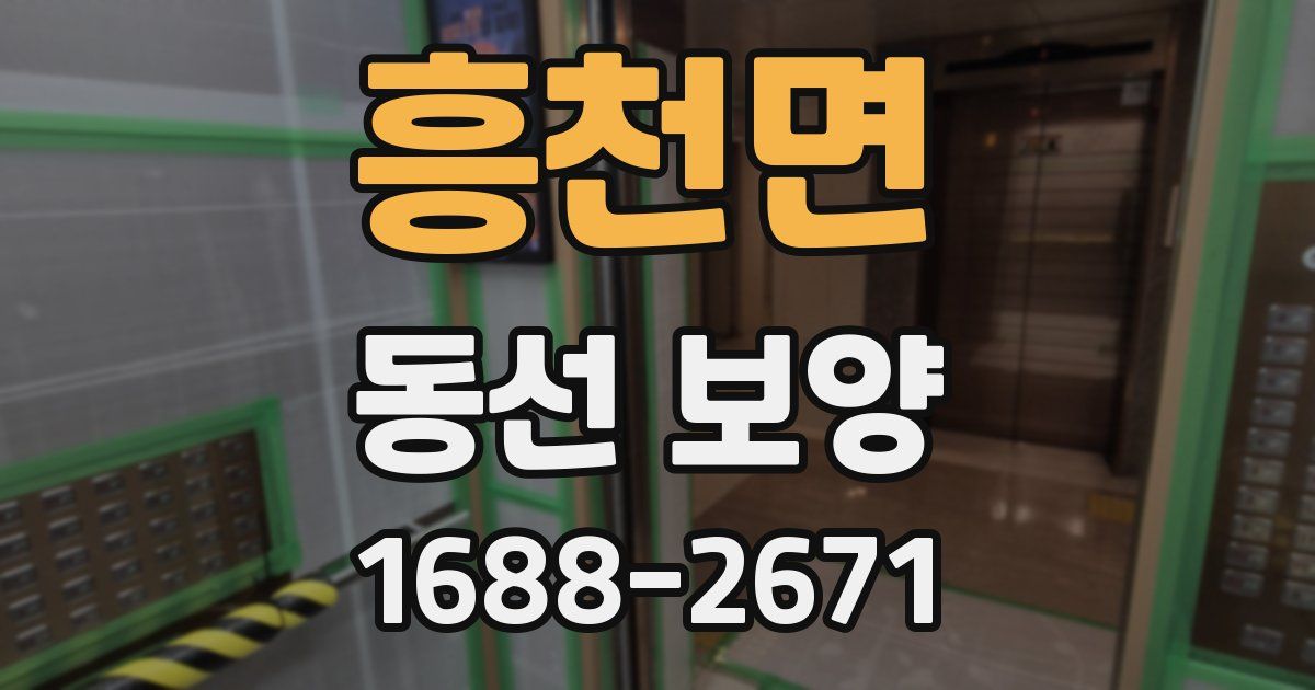 흥천면 동선 보양