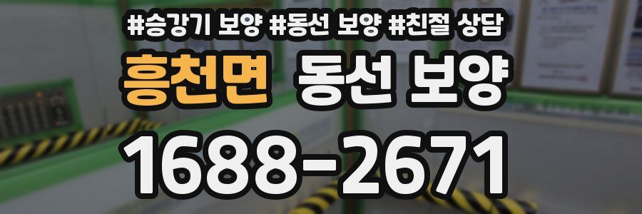 흥천면 동선 보양