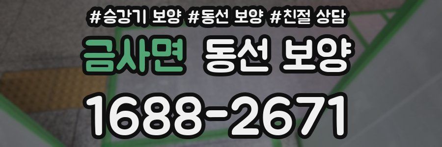 금사면 동선 보양