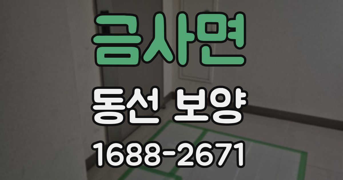 금사면 동선 보양