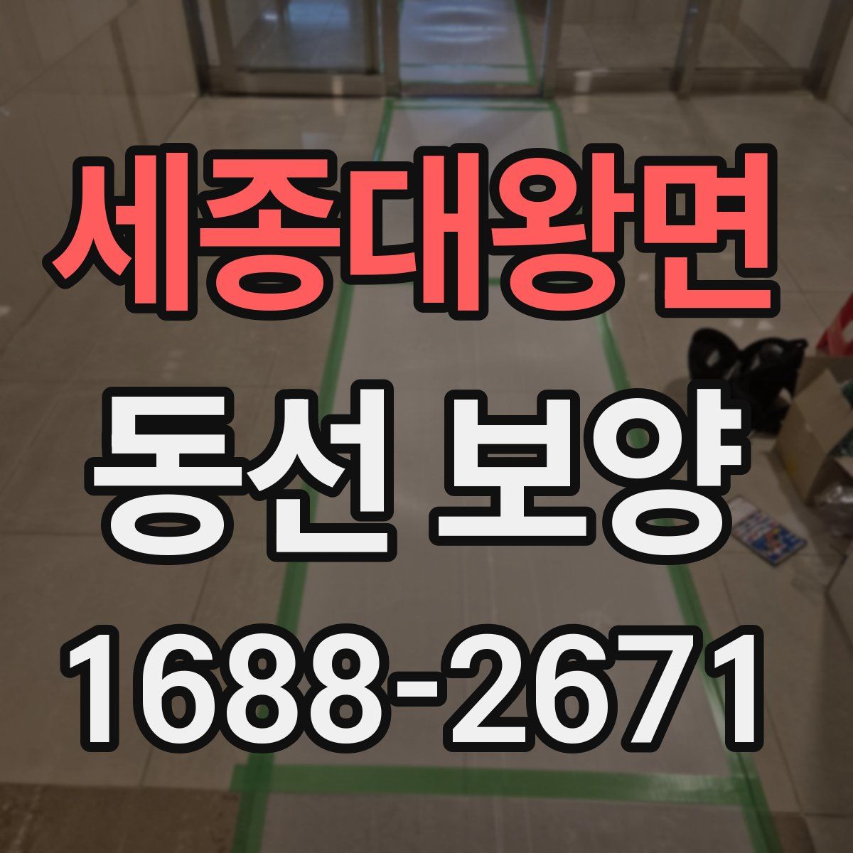 세종대왕면 동선 보양