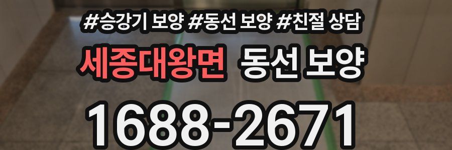 세종대왕면 동선 보양