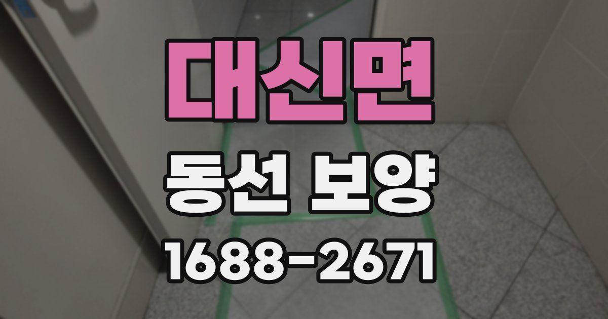 대신면 동선 보양