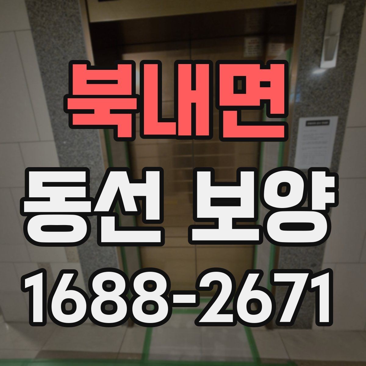 북내면 동선 보양 현장에서 발생하는 변수와 대처