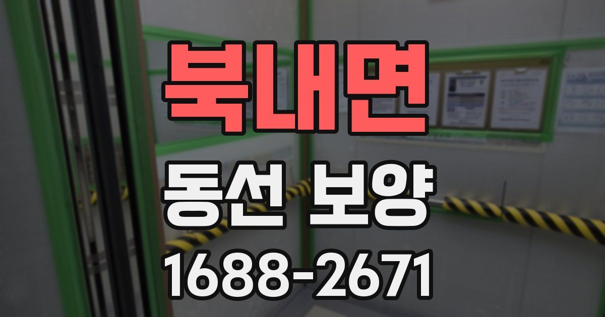 북내면 동선 보양