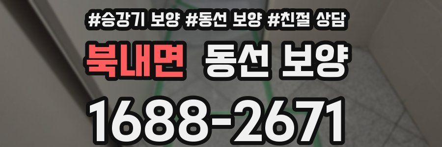 북내면 동선 보양