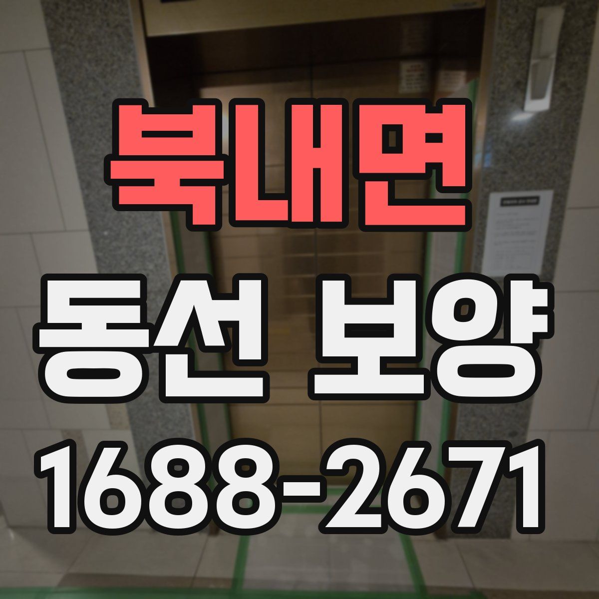 북내면 동선 보양