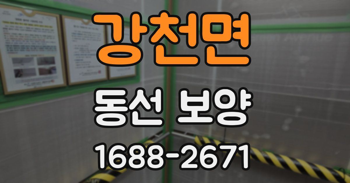 강천면 동선 보양