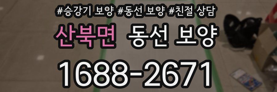 산북면 동선 보양