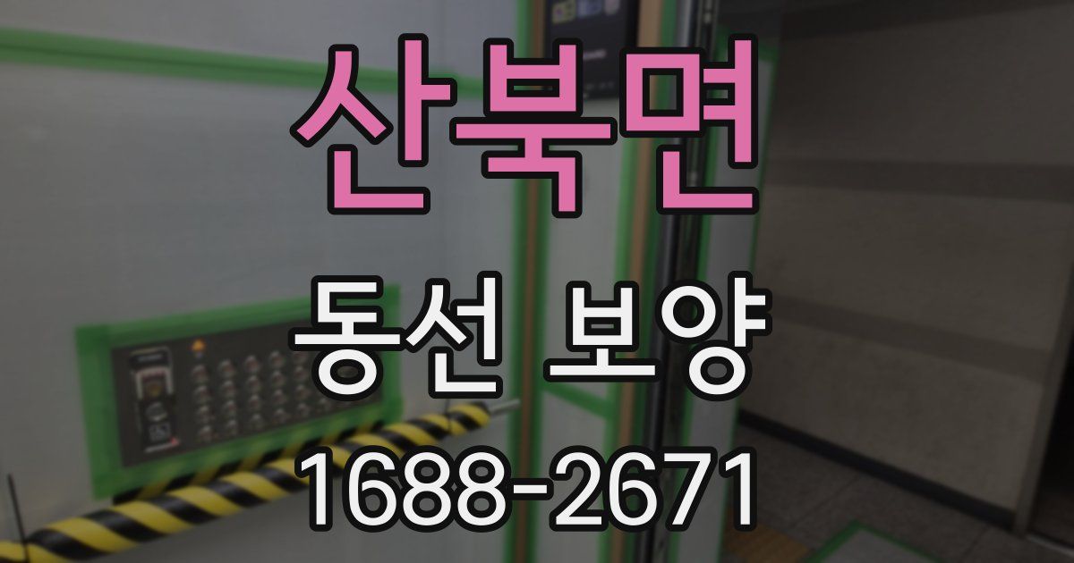 산북면 동선 보양