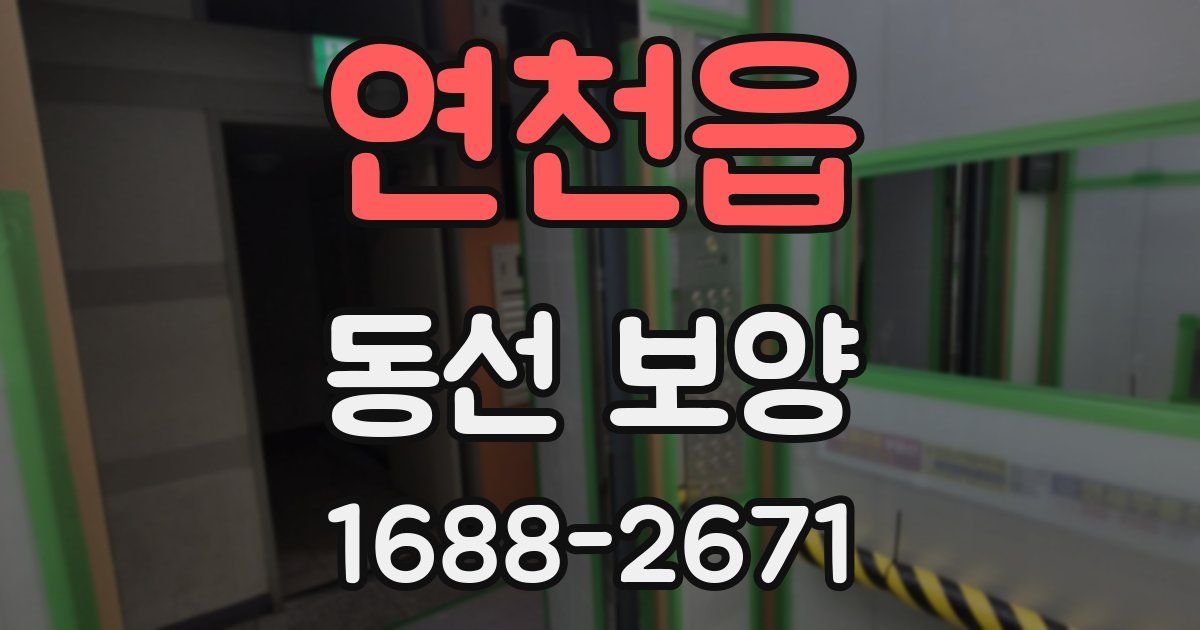 연천읍 동선 보양