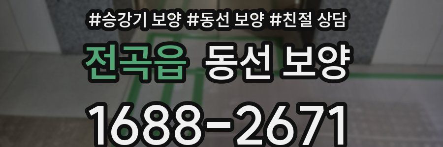 전곡읍 동선 보양
