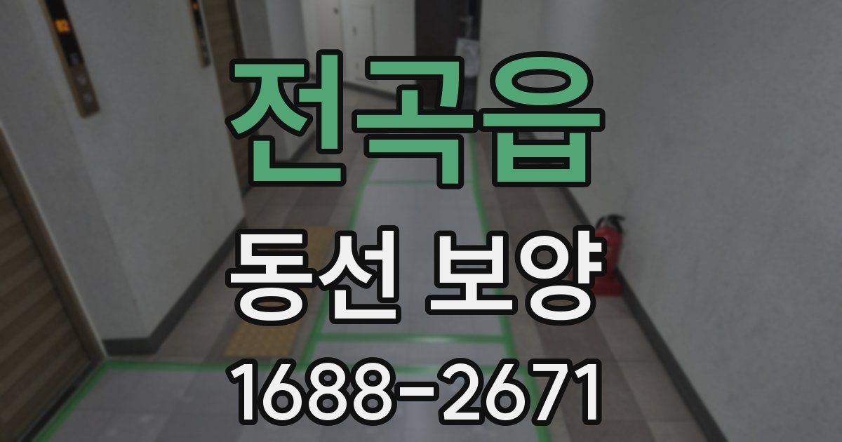 전곡읍 동선 보양