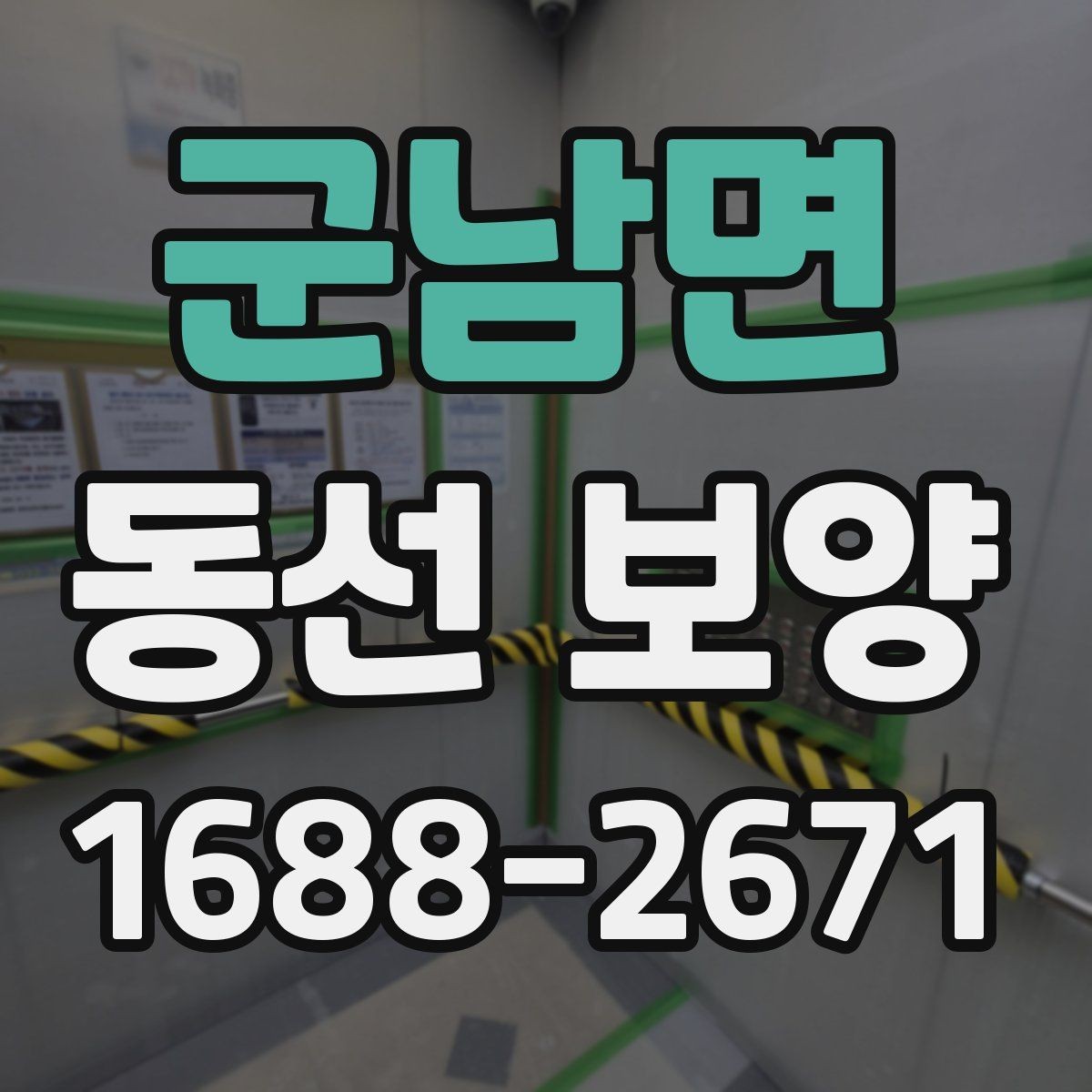 군남면 동선 보양 작업 전 체크해야 할 사항