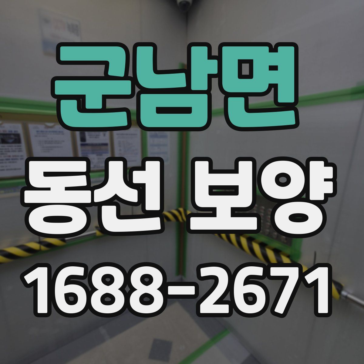 군남면 동선 보양