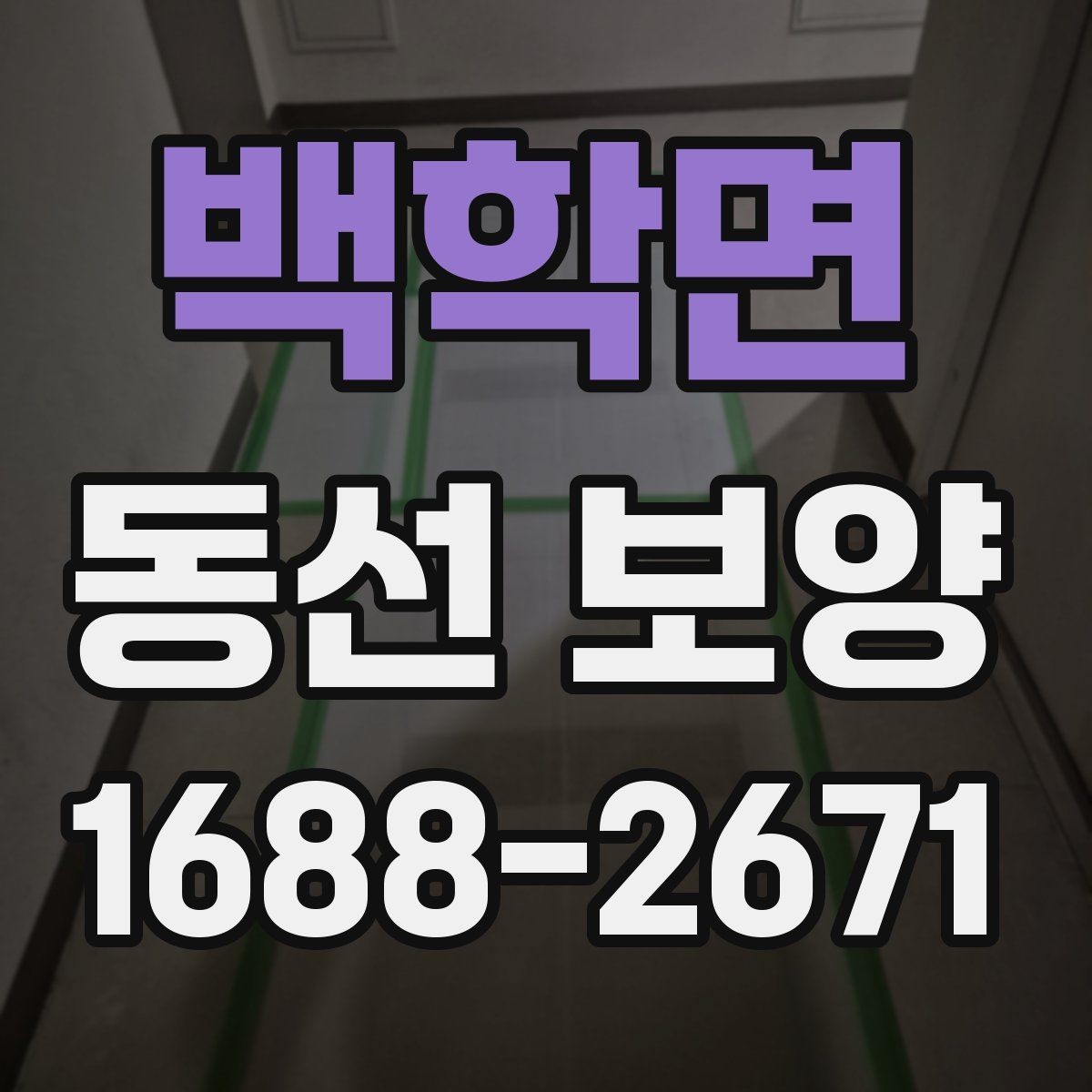 백학면 동선 보양 공사 전에 미리 확인할 부분