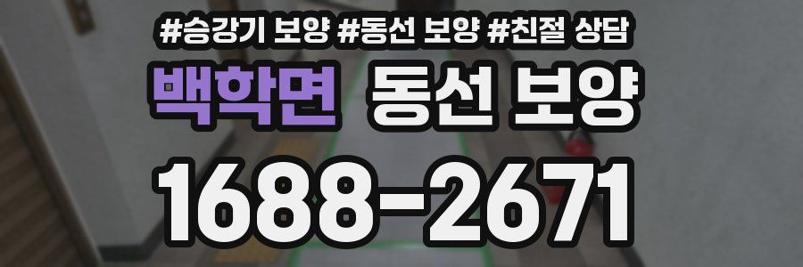 백학면 동선 보양