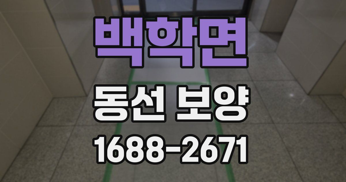 백학면 동선 보양
