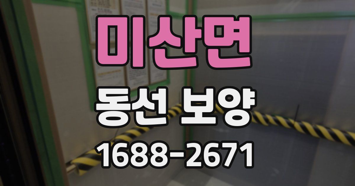 미산면 동선 보양