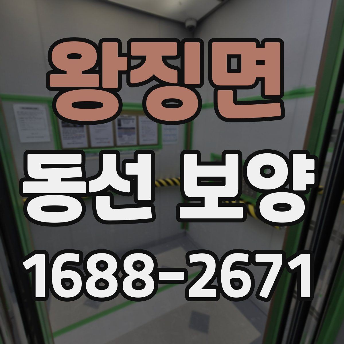 왕징면 동선 보양 현장별 작업 난이도가 달라지는 이유
