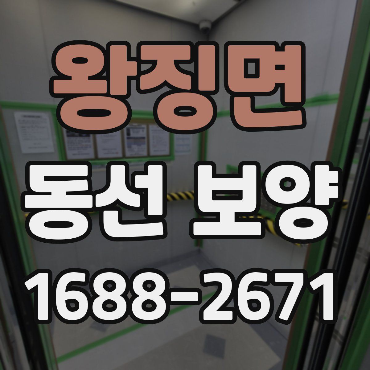 왕징면 동선 보양
