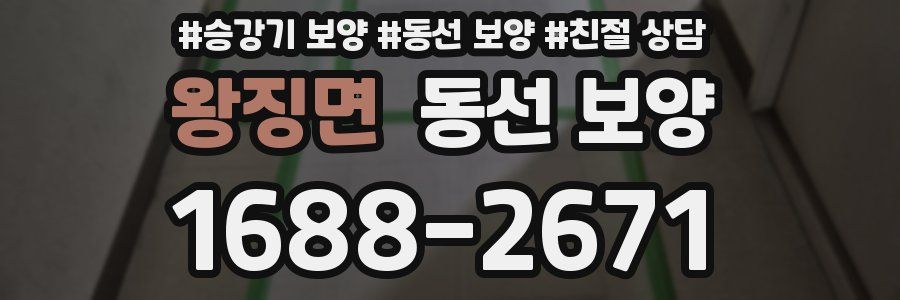 왕징면 동선 보양