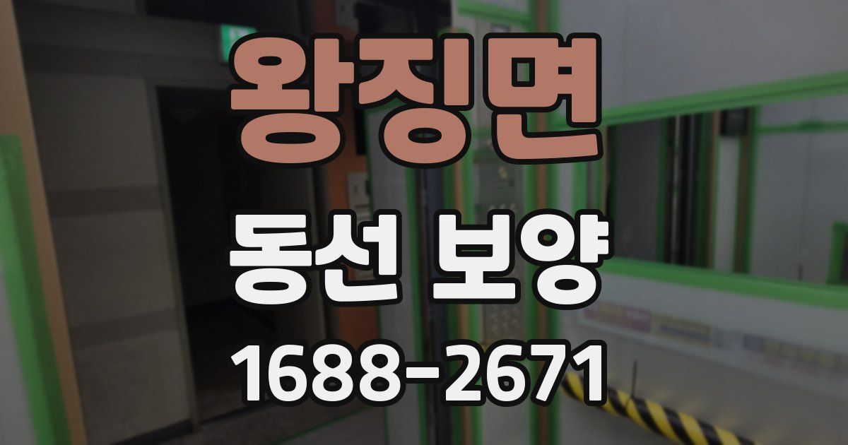 왕징면 동선 보양