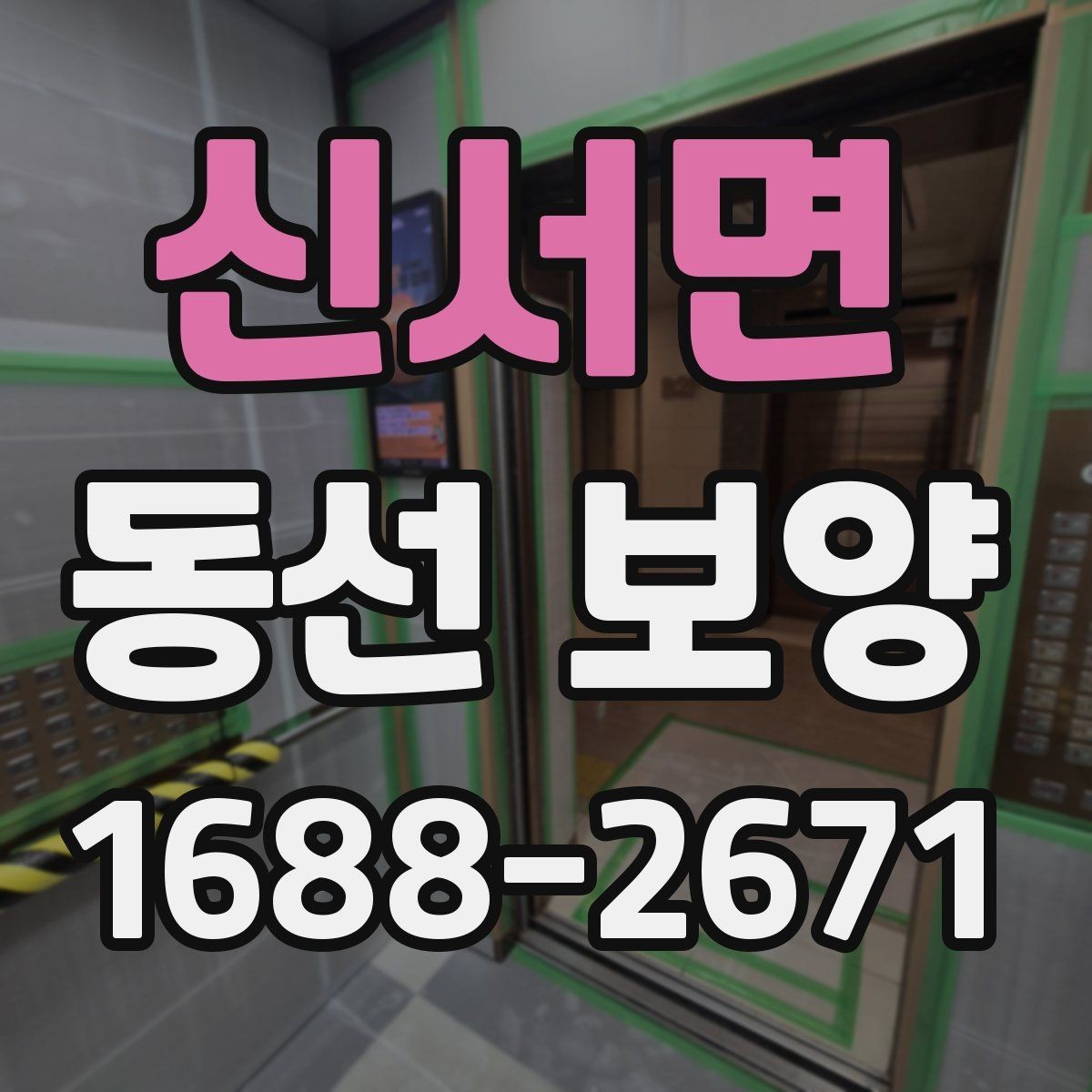 신서면 동선 보양 작업 후 유지 관리 팁