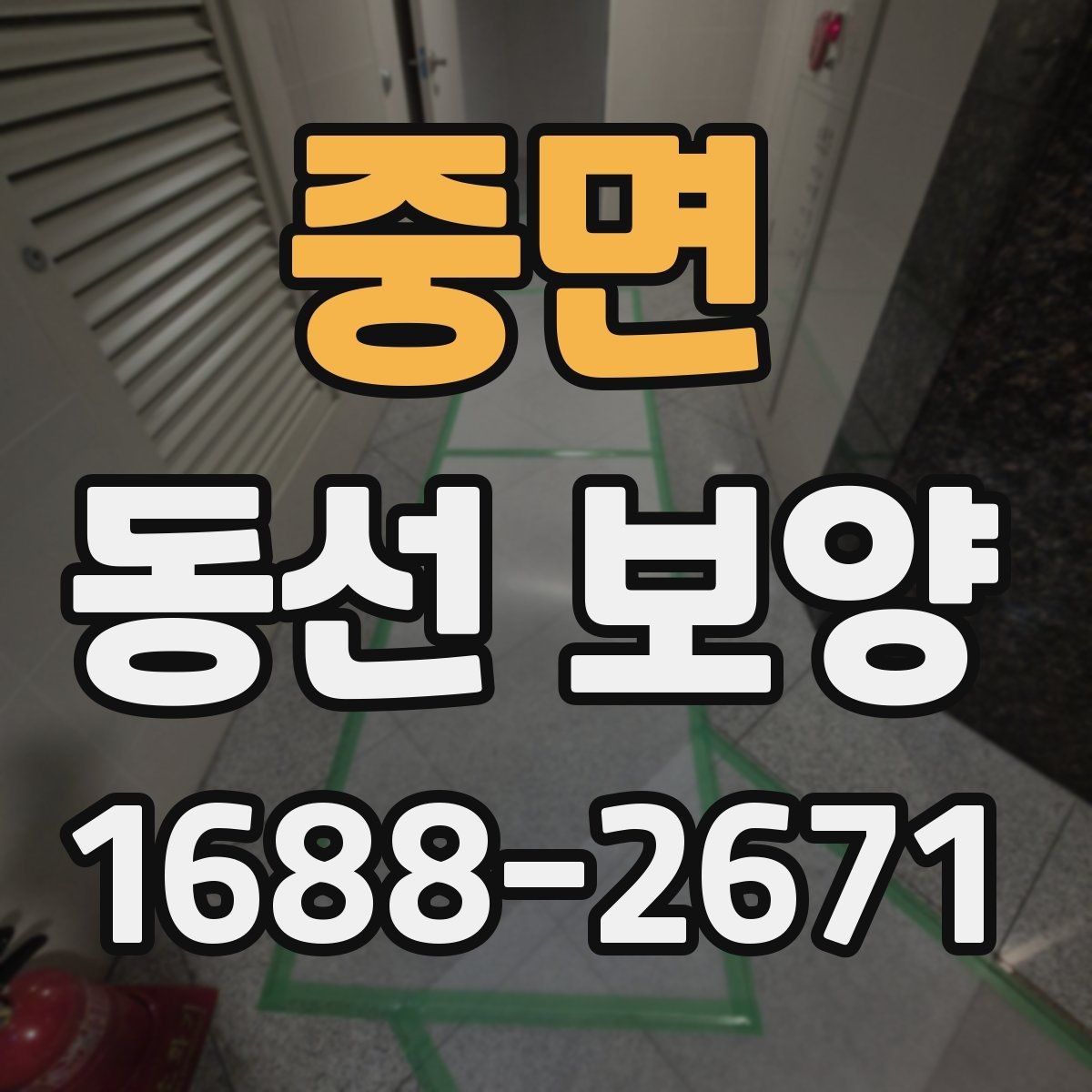 중면 동선 보양 작업 후 손상 예방을 위한 관리법