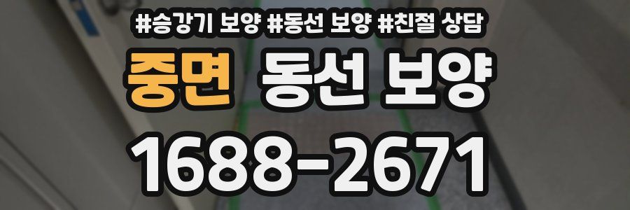 중면 동선 보양