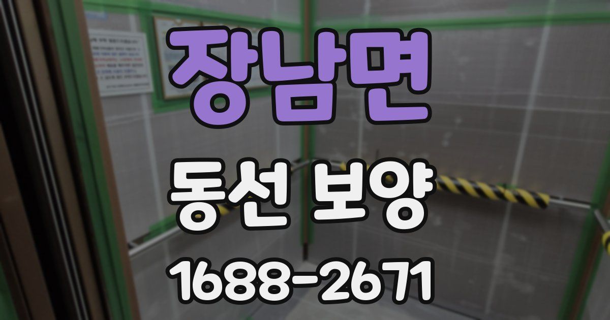 장남면 동선 보양