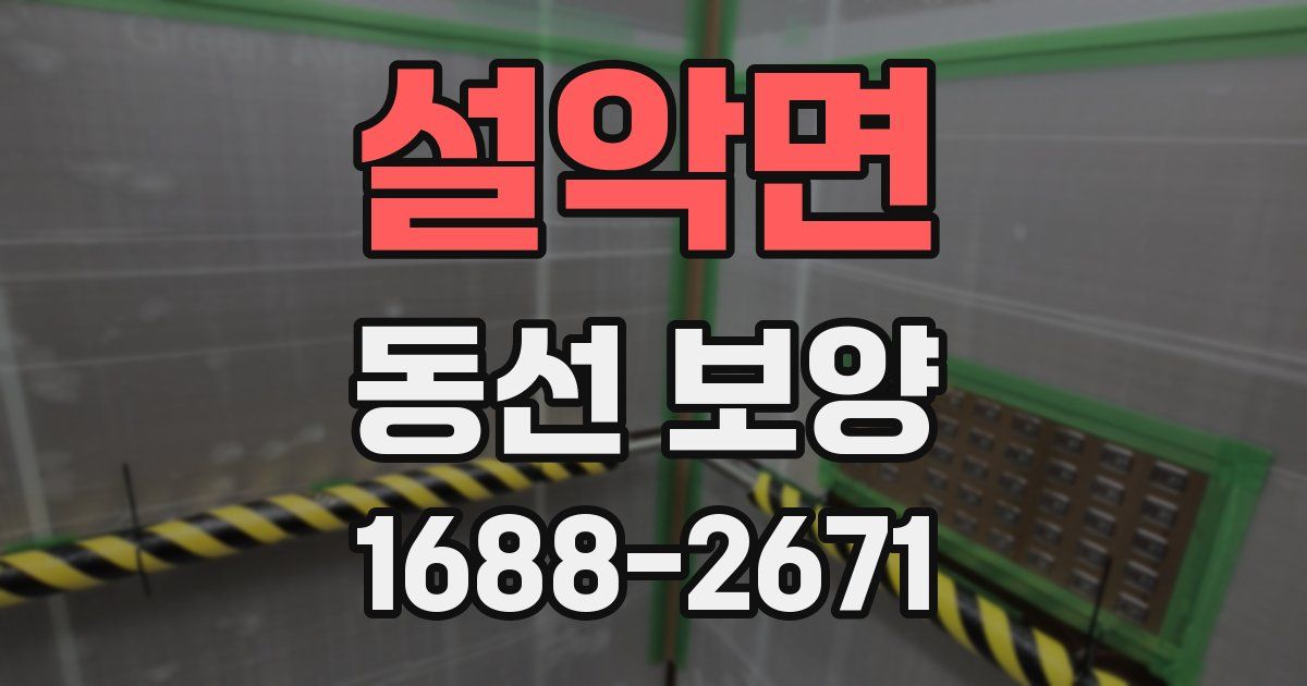 설악면 동선 보양