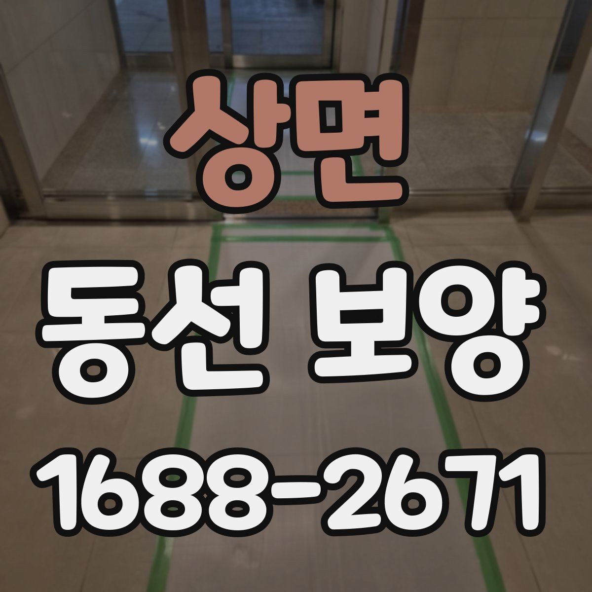 상면 동선 보양 업체 선정 시 확인할 실무 포인트