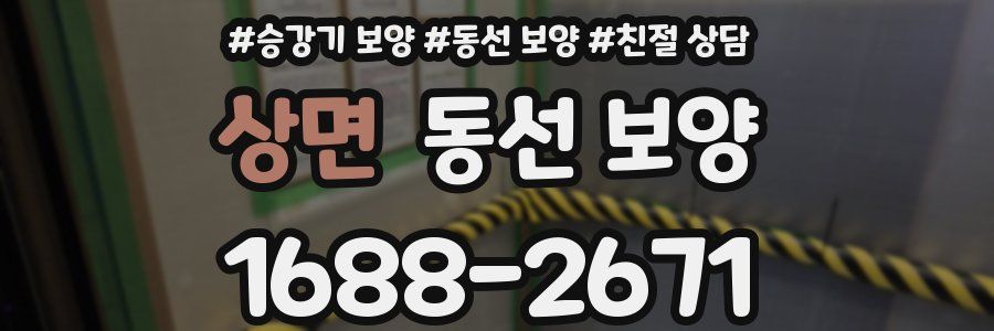 상면 동선 보양