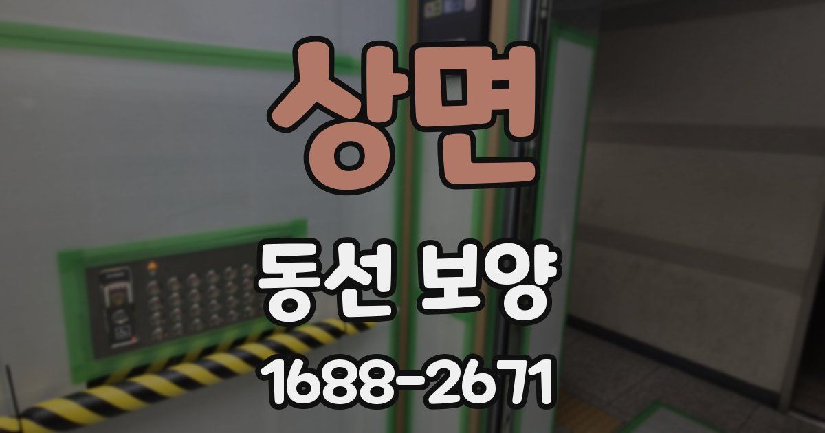 상면 동선 보양
