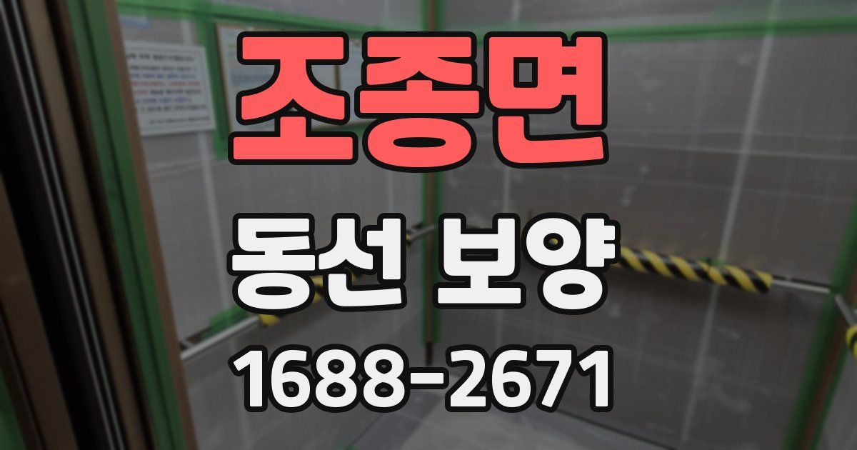 조종면 동선 보양