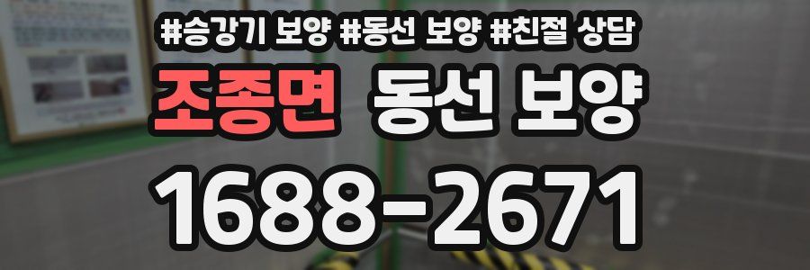 조종면 동선 보양