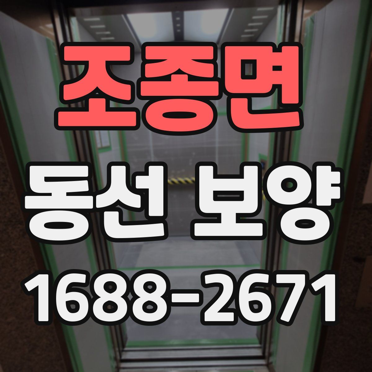 조종면 동선 보양
