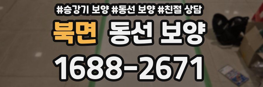 북면 동선 보양