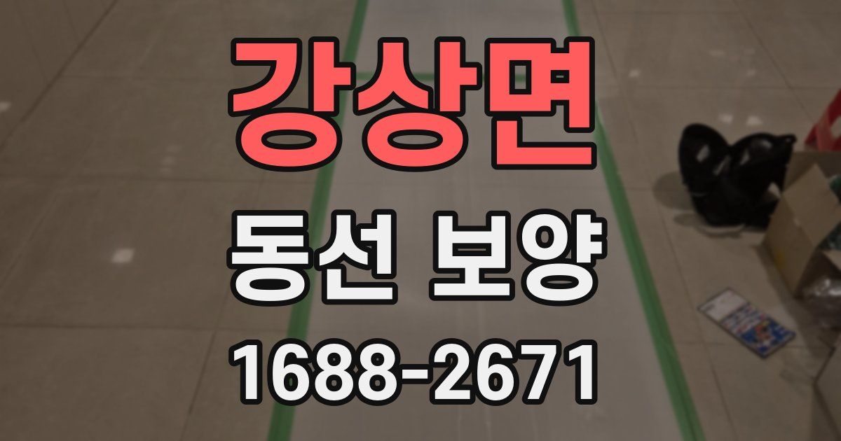 강상면 동선 보양