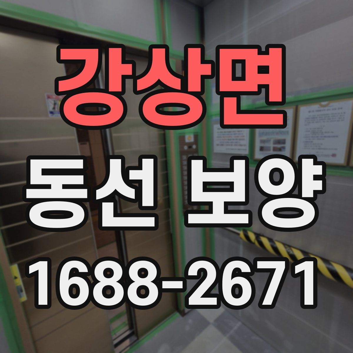 강상면 동선 보양
