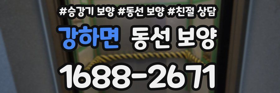 강하면 동선 보양
