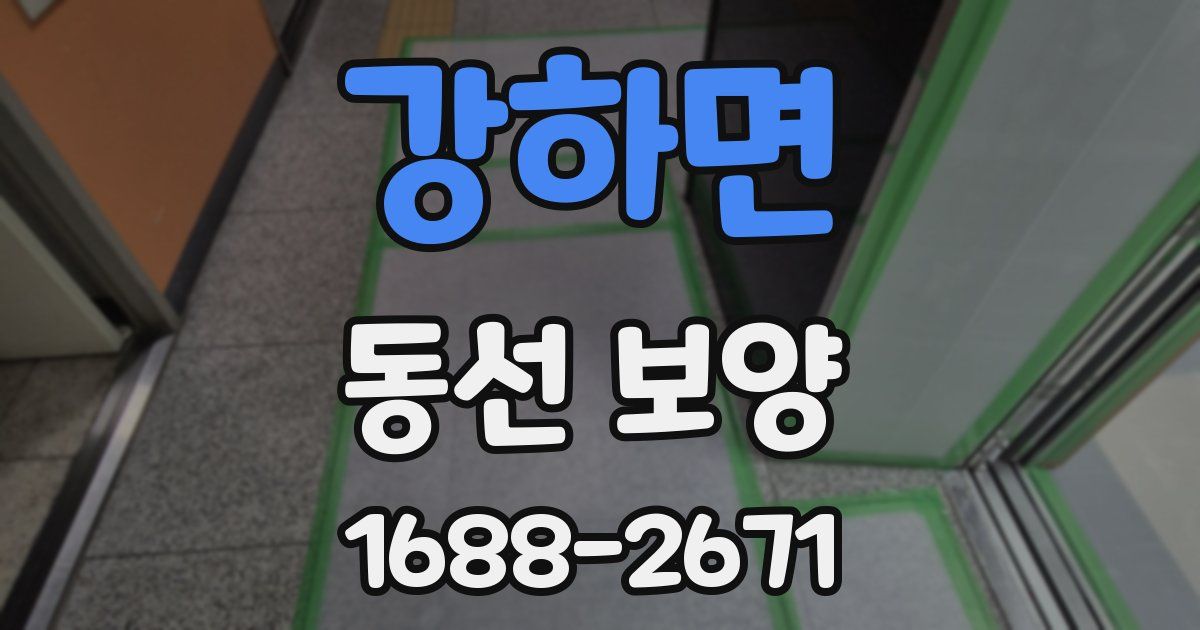 강하면 동선 보양